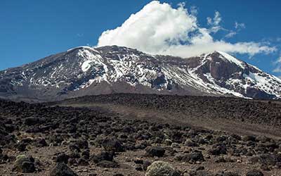 7 Days Machame